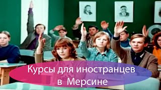 Бесплатные курсы для иностранцев в Мерсине. Обучение Турецкому языку.