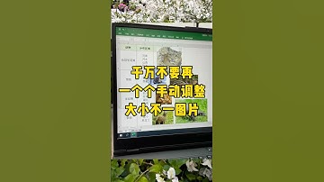 十秒插入一万张图片#职场 #办公技巧 #文员 #excel #每天学习一点点