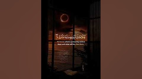 #آية_الكرسي #المنشاوي #القرآن_الكريم #quran #آيات #تلاوات #قرآن #قران_كريم #القرآن #تلاوة #قرآن_كريم