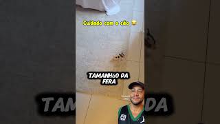 Olha o tamanho da fera 😂