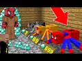 FAKİR SÜPER ÖRÜMCEK SATICISI OLDU! (1 ÖRÜMCEK 999 ELMAS!) - Minecraft