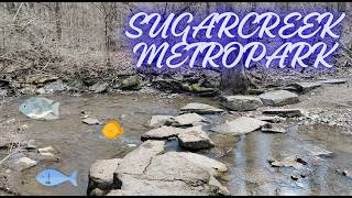 Sugarcreek MetroPark Green Trail - Dayton, Ohio