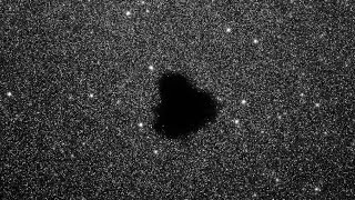 // BOOTES VOID // (TOP 9 LSCL) Verified
