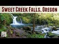 Sweet Creek Falls Trail, Oregon (2017/18 Snowbird Trip Update)