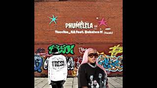Phumelela 20  Teevibe sa Ftbabalwa M vocals 