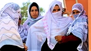 El arca de las pepitas de oro, Córdoba