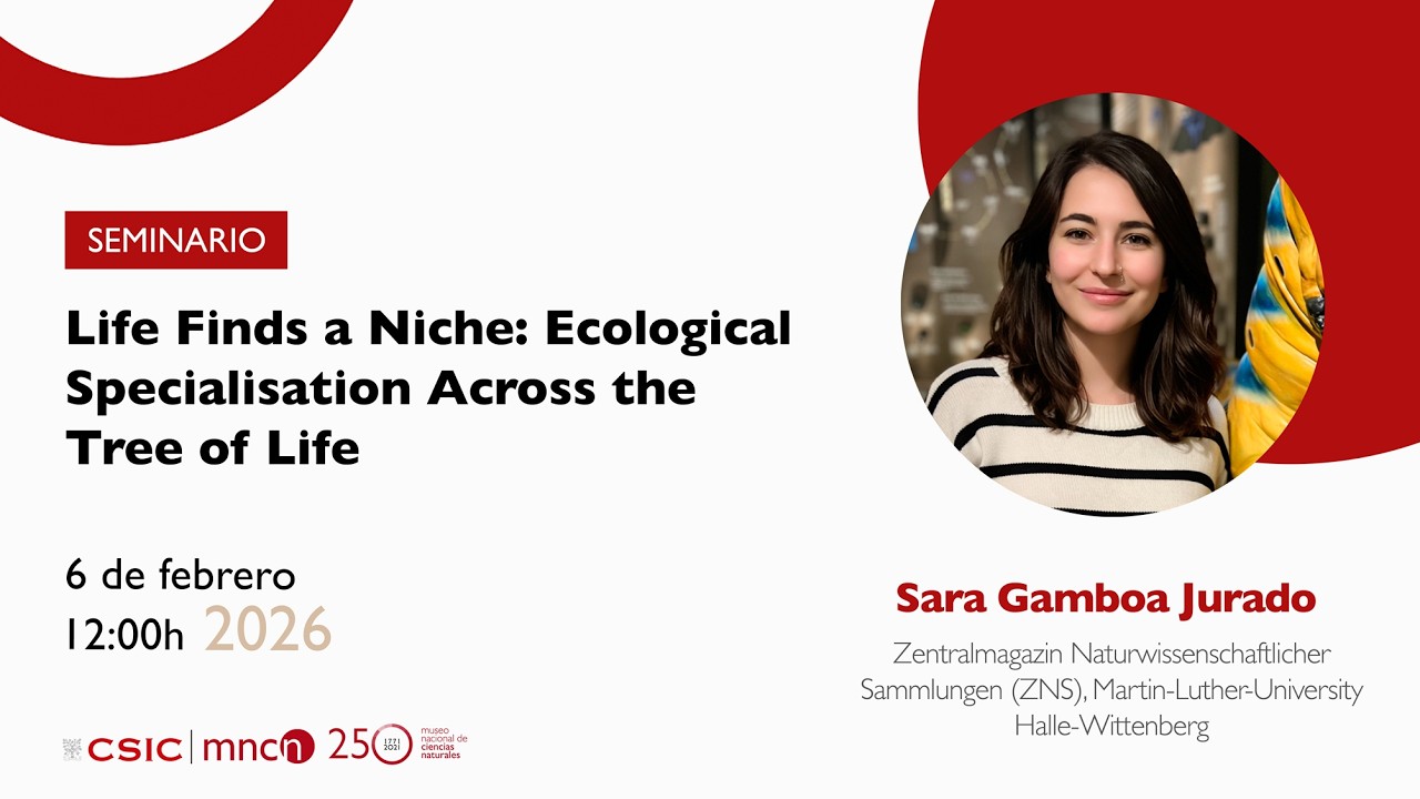 Life Finds a Niche: Ecological Specialisation Across the Tree of Life