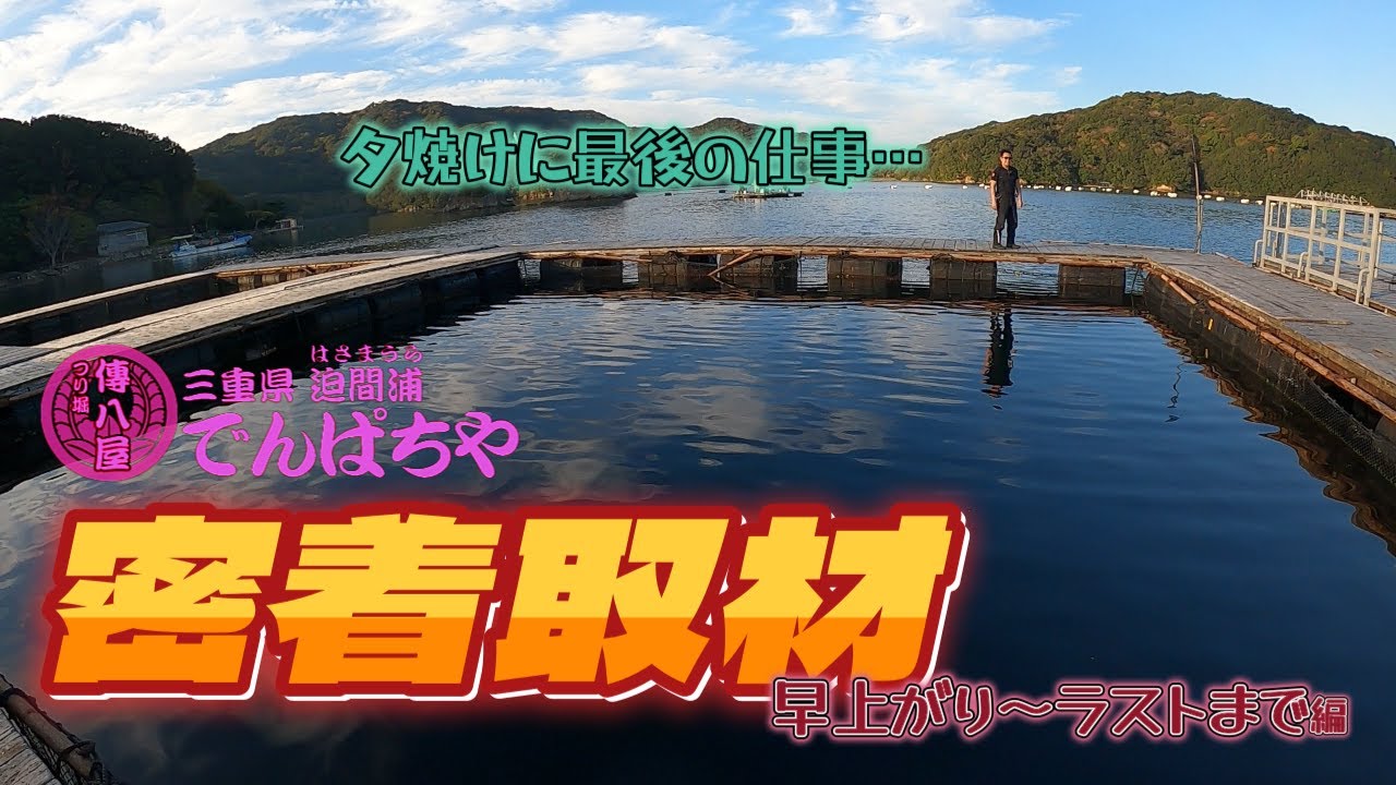 【海上釣堀】傳八屋取材④　早上がり～最後まで
