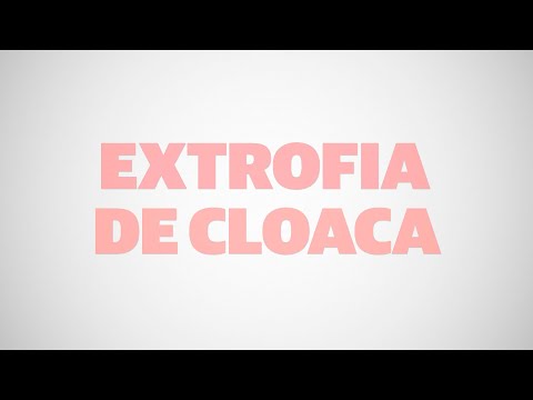 Extrofia de Cloaca | Dra. Andrea Bischoff