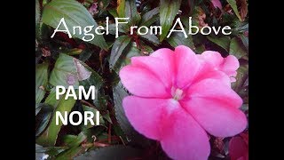 Angel From Above Pam Nori (Official Christian Video with Lyrics)