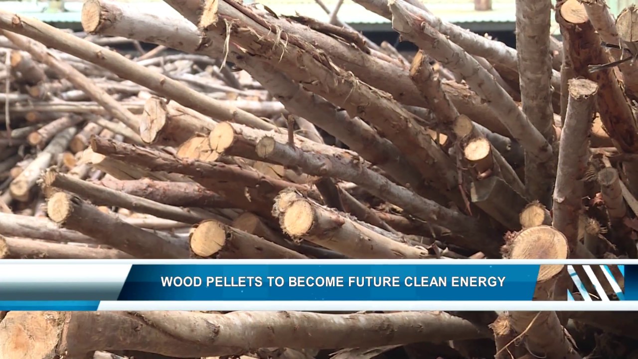 Wood pellets to become future clean energy - YouTube