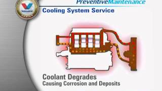 Valvoline Cooling System Flush
