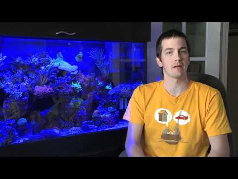 Mr. Saltwater Tank TV Friday AM Quick Tip #51: The Basement Needs Cleaning