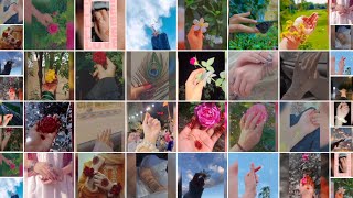 Hand dpz for girls 🤌|| stylish hand dp poses || beautiful hand dpz for girls || unique hand dpz #dpz