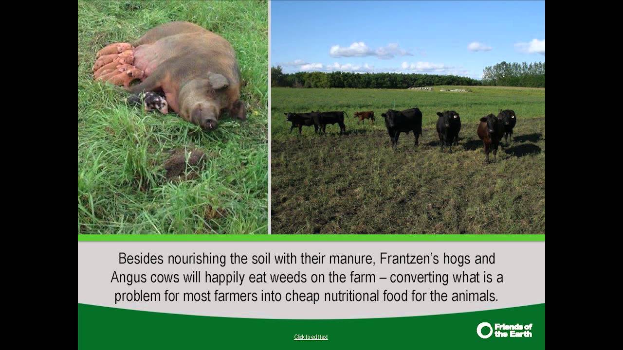 Sustainable Agriculture Solutions