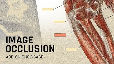 Anki: Image Occlusion Enhanced Add-on