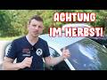 Top 5 Herbst-Killer für dein Auto – und wie du sie stoppst! 🚗❌🍁