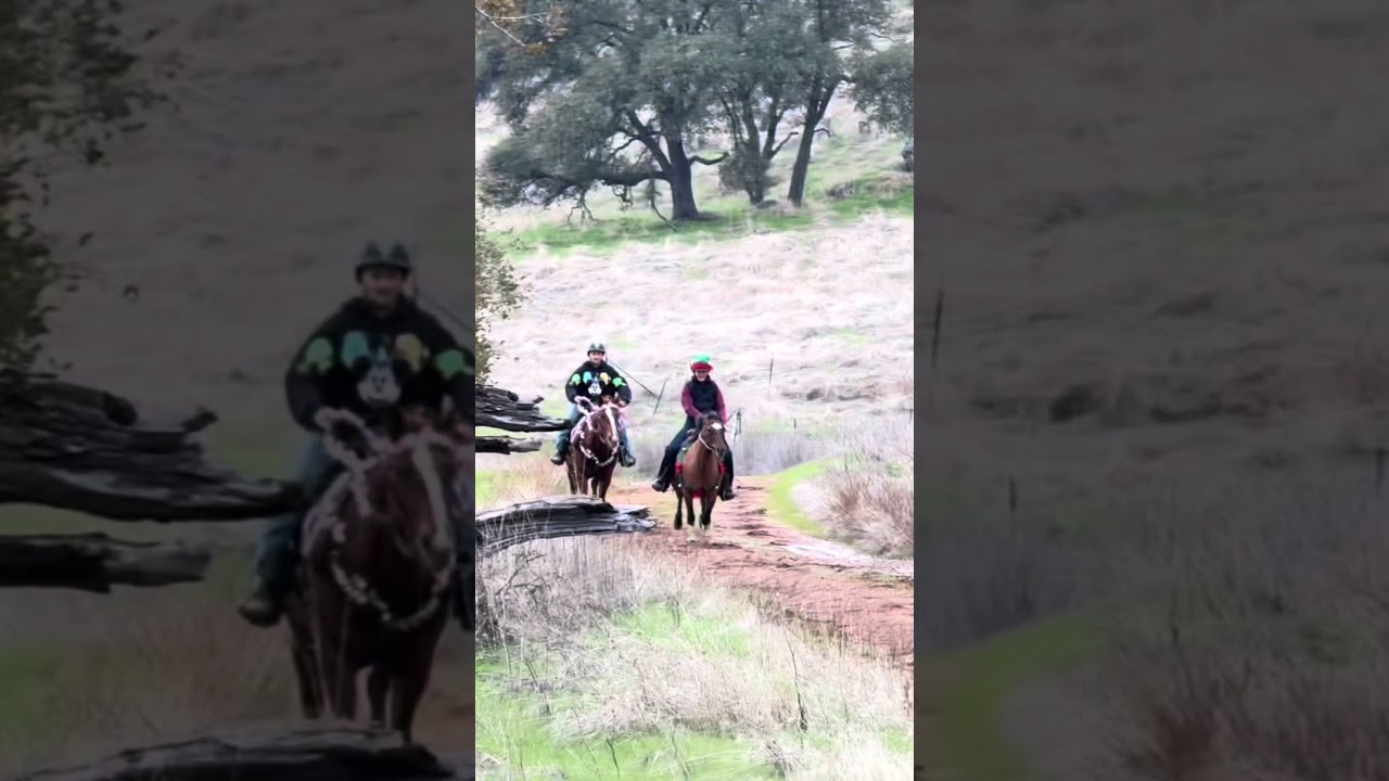 She did a flying lead change guys… 