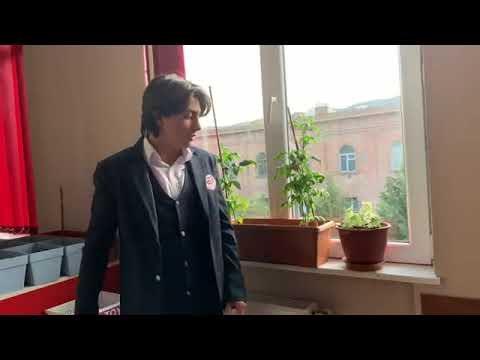 66 გიმნაზია შავნაბადა გუნდი მერკური