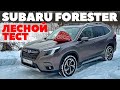 Subaru Forester 2024: по глубокому снегу точно вовремя