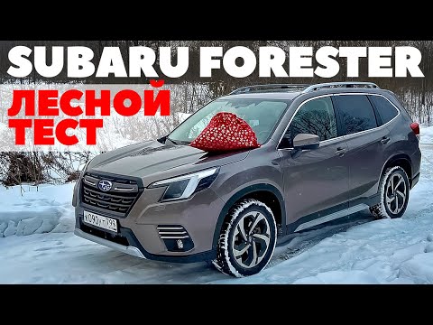 Видео: Subaru Forester 2024: по глубокому снегу точно вовремя