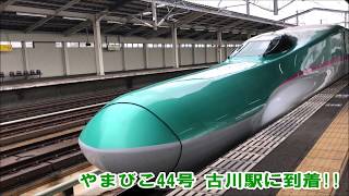 新幹線Wきっぷで、雨の中仙台へ!! Go to Sendai with a special Shinkansen ticket!