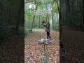 Alleine Fotos Mit Hund Machen So Einfach Kannst Du Schöne Bilder Mit Deinem Hund Machen Alleine Fotos Mit Hund Machen So Einfach Kannst Du Schöne Bilder Mit Deinem Hund Machen