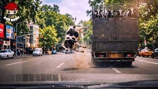 Tragic! 30 Animals Falling From High Places| Shocking &amp; Unbelievable Moments