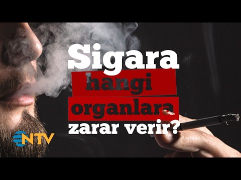 Soru&Cevap: Sigara hangi organlara zarar verir?