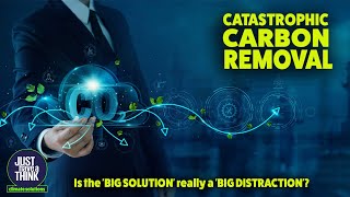 Catastrophic Carbon Removal. How the 'Big Solution' is failing badly.