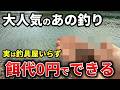 餌代0円・堤防で爆釣⁈釣り初心者でもできるあの釣りが最高すぎる