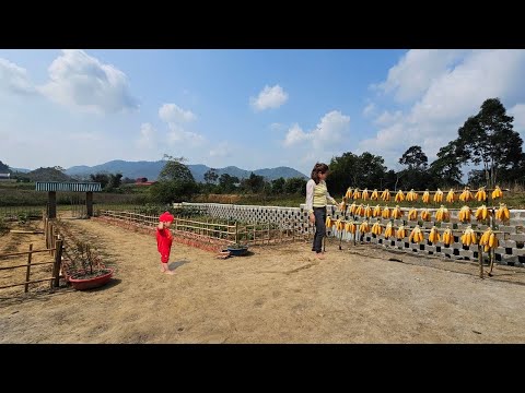 Single Mom - Build a Wooden Vegetable Garden Fence, Make a Corn Drying Pole & Take Care of Children