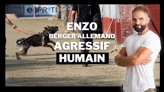 ENZO - Berger Allemand Agressif - Chien Incompris Ep 8