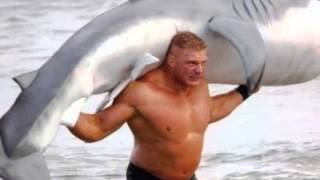 My Slideshow shark
