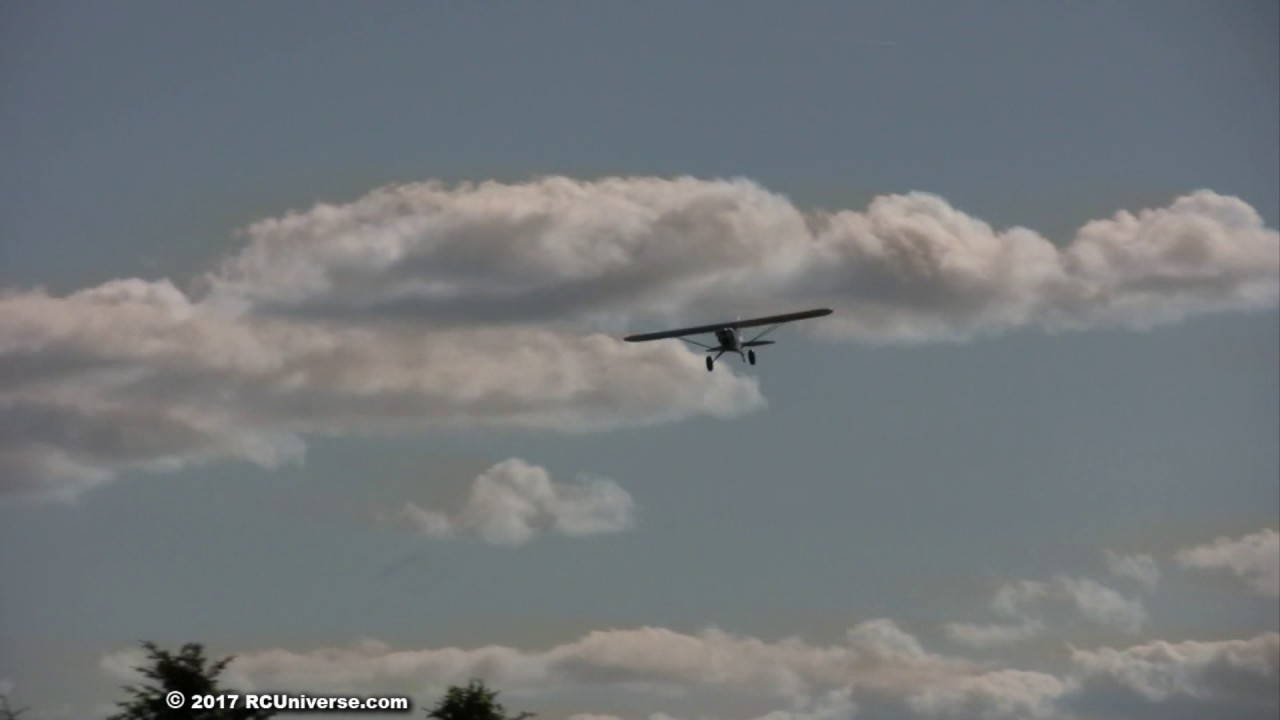 Multiplex FunCub XL - A little Wild!