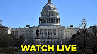 WATCH LIVE: Financial regulators testify before Senate as FDIC chair under scrutiny