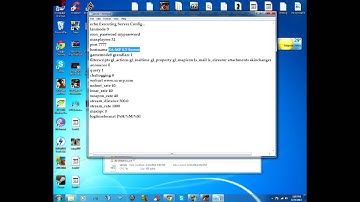 [Pawn Tutorial #1] Setting up a server