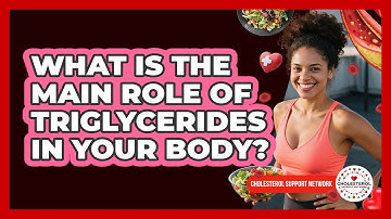 What Is The Main Role Of Triglycerides In Your Body? - Cholesterol Support Network