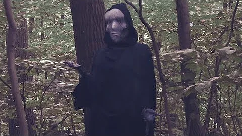 Tempustantrum - Isolate (Official Music Video)
