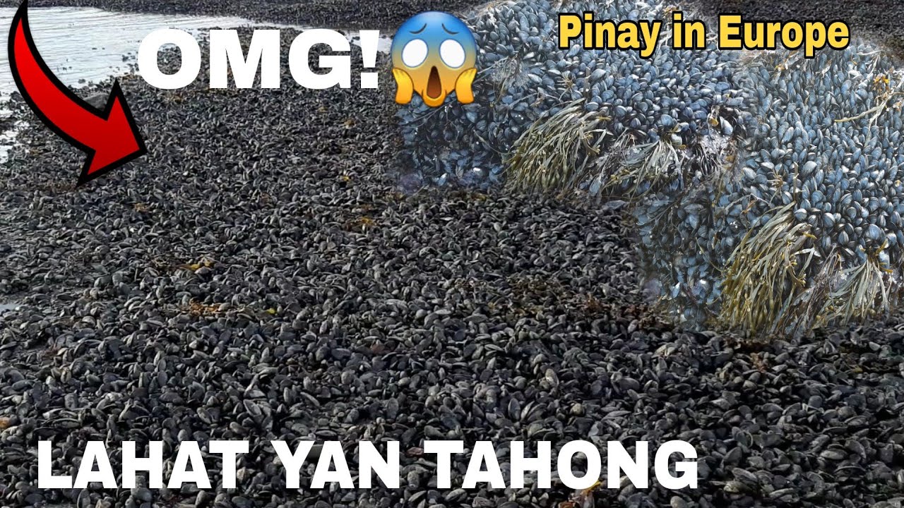 GANITO KARAMI ANG TAHONG DITO SA AMIN WALANG NANGUNGUHA | Memay Emay
