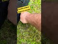 STONE arrowheads archery (squirrel assassins) primitive hunting