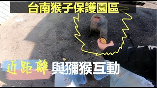 【台南】烏山獼猴保護園區｜猴子比人多的王國 