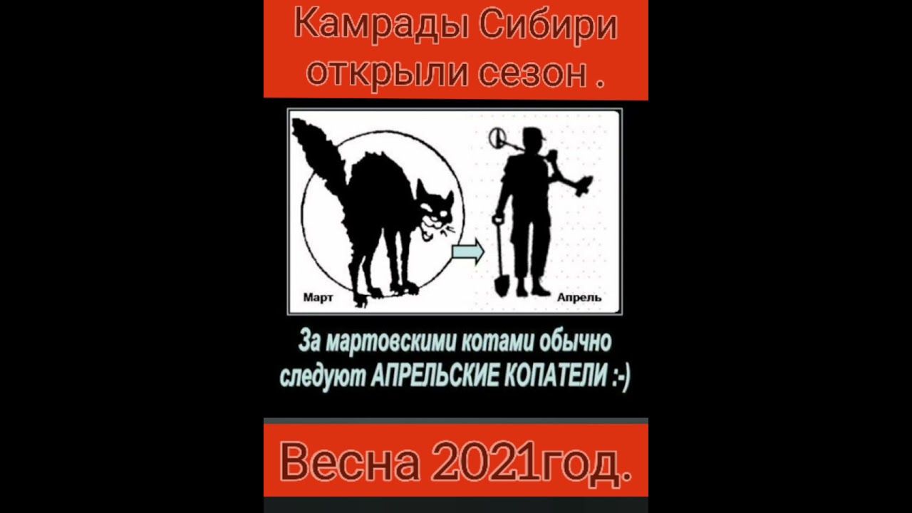Купить Книгу Александр Камрадов
