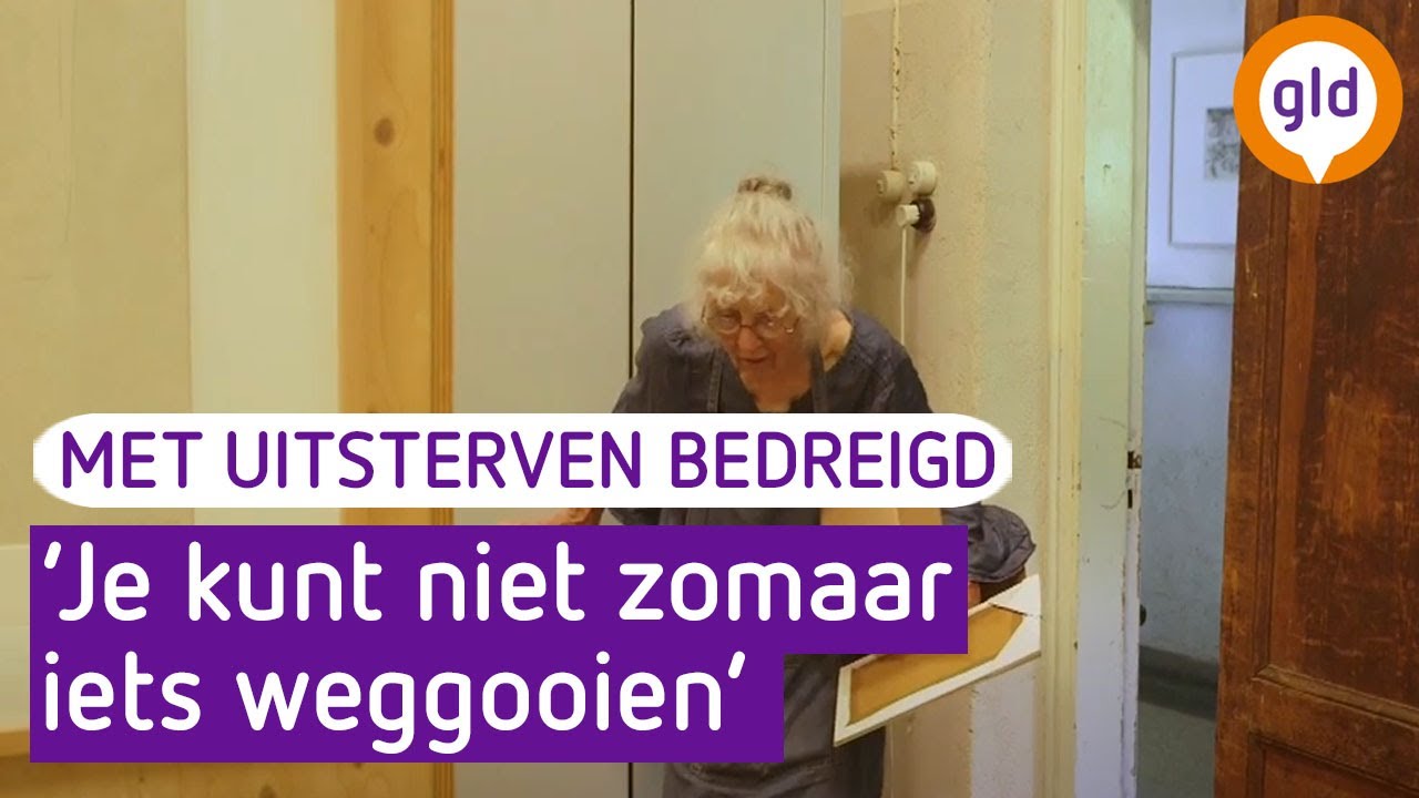 Met uitsterven bedreigd - Vlinder - 13 september 2018