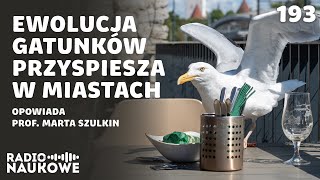 Ewolucja w mieście - życie wśród betonu zmienia gatunki | prof. Marta Szulkin