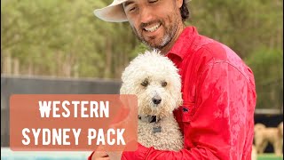 Western Sydney Pack at the Farm