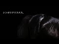 【天皇賞・秋】JRAのCM風〜シンボリクリスエス〜