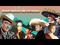 LOS MEJORES RANCHERAS MEXICANAS INOLVIDABLES 90S DE VICENTE FERNANDEZ, ANTONIO, JAVIER, ROCIO Y MAS