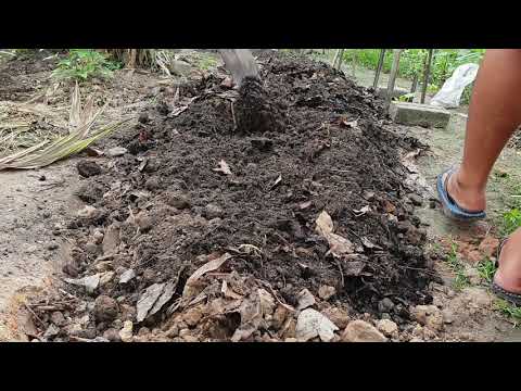 Video: Meminda Tanah Liat: Memperbaik Tanah Liat Di Halaman Anda