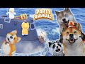Trio kocak berantem  di atas laut  party animals